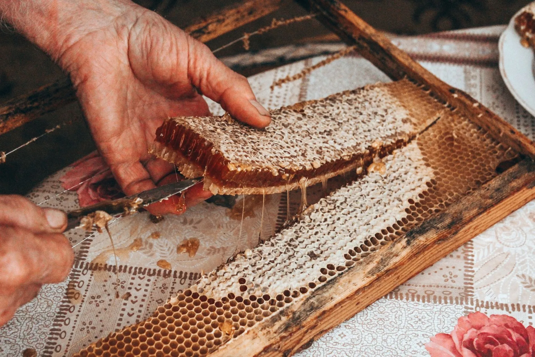 Most honey is spun cold. Heather is pressed out of the comb because it sets like a jelly in the cell.